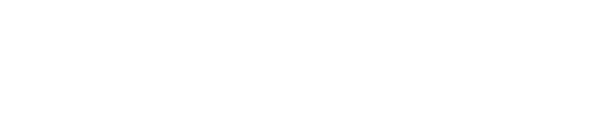 Intellivisit_Logo_White_CMYK